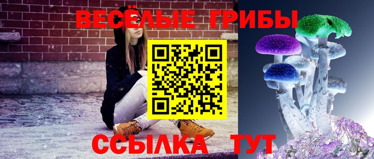 Галлюциногенные грибы прущие грибы Заволжье